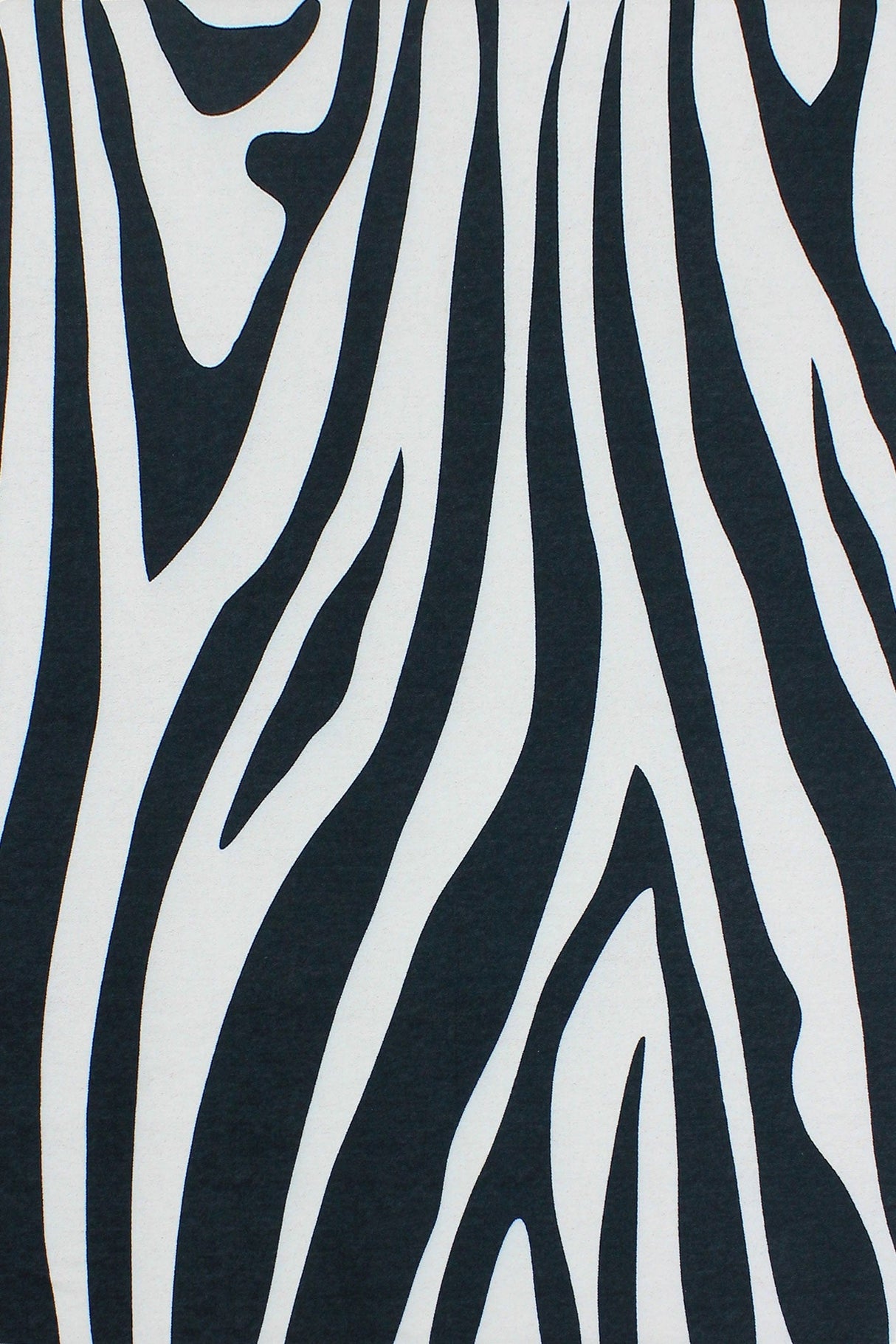 Zebra rug